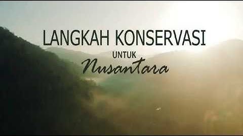 Langkah Konservasi Hari Nusantara di Taman Nasional Meru Betiri