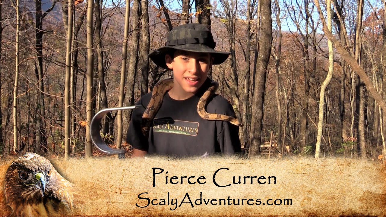 family friendly resorts Pierce Answers 2 Fan Questions About Working With Reptiles