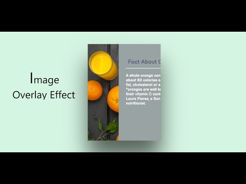 How to make image Overlay effect using HTML & CSS