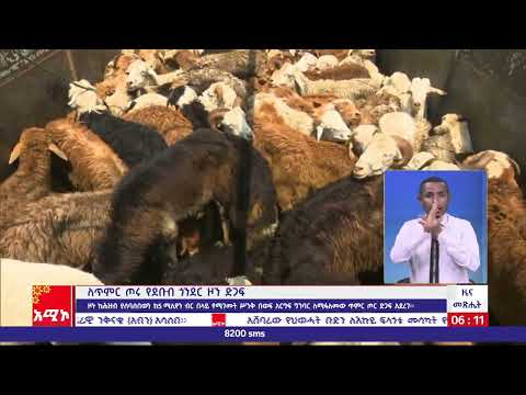 የደቡብ ጎንደር ዞን ድጋፍ ለጥምር ጦሩ