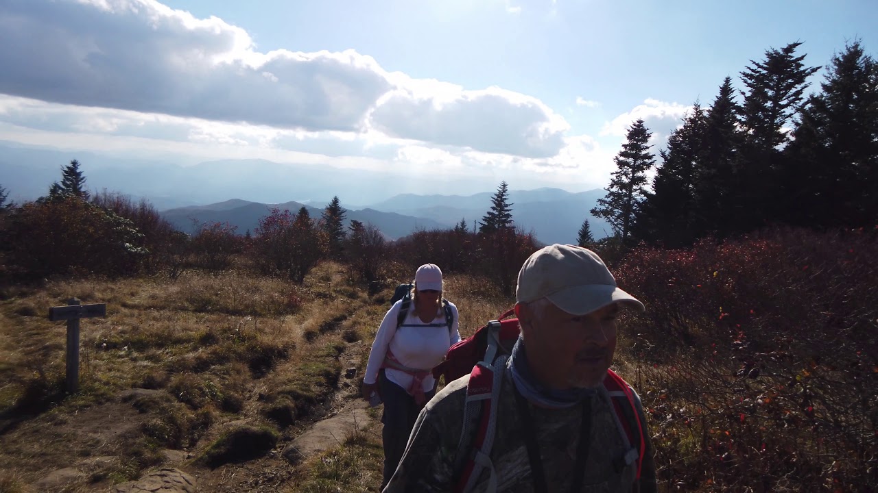Andrew's Bald Great Smoky Mountains National Park