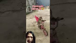Ra minggir tabrak ! #automobile #funny #monkey #gaming #reaction #newmusic #rap #hiphop #music