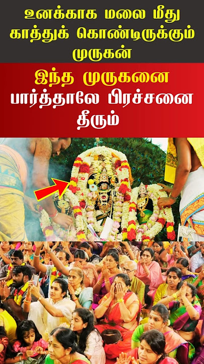 🕉️🙏🏻உனக்காக மலை மீது வேலுடன் காத்திருக்கும் முருகன்! வந்தவுடனே மனசு நிறையும்🦚⚜️#fyp#shorts #ommuruga