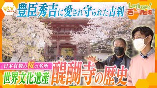【若一調査隊】豊臣秀吉の思いが詰まった「京都・醍醐寺」　貴重な宝物の数々と珠玉の庭園と共にその歴史を紐解く