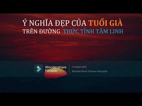 Ý Nghĩa Đẹp Của Tuổi Già Trên Đường Thức Tỉnh Tâm Linh - Eckhart Tolle