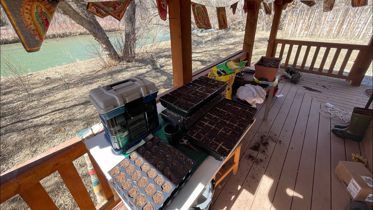 Незапланированная поездка, сайт о садоводстве, весна в этом году ранняя.