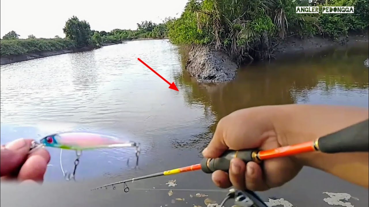 Casting kerapu umpan minnow di muara saat air mulai pasang