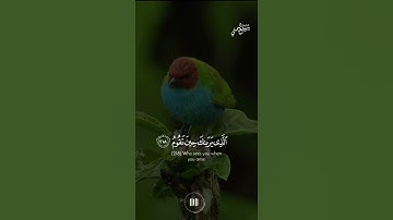 {وتوكل على العزيز الرحيم} القارئ|وديع اليمني