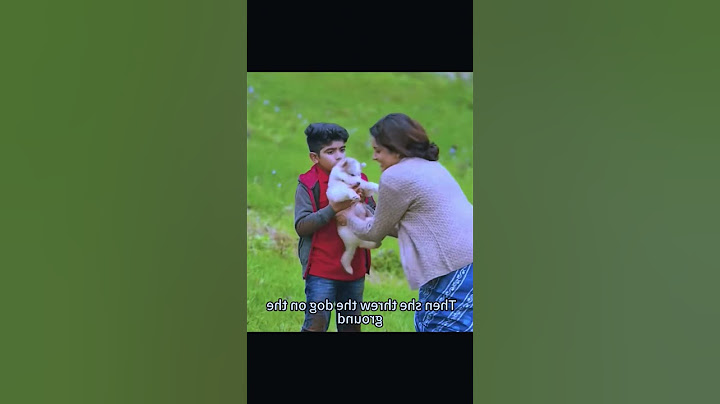 He Trained This Rejected Blind Dog Until It Became... #shorts #film #movie