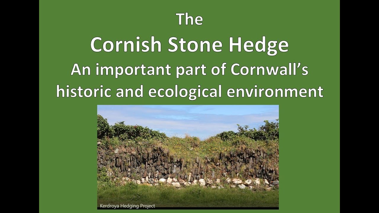 The Cornish Stone Hedge  St Piran's Edition