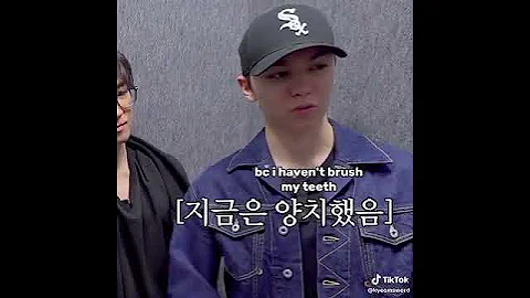 Na PD😂🤣😮#seventeen #nanatour ep 3 #vernon#wonwo #dk #joshua