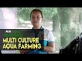 MUD CRABS, MILKFISH, SHRIMP FARMING: How to become successful in raising multi culture aqua farming