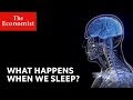 What happens when we sleep? | The Economist