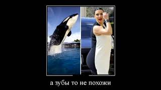 демотиваторы приколы, лучшие демотиваторы, демотиваторы про женщин, демотиваторы смешные новые демотиваторы приколы, лучшие демотиваторы, демотиваторы про женщин, демотиваторы смешные новые