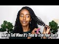 How to Tell When it&#39;s Time to Trim Your Curls | My Top 4 Tips | Naturally Curly Hair