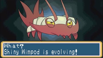 Evolving Shiny Wimpod on Stream!