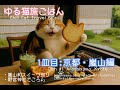 【癒し系猫旅】京都嵐山の絶景×幸せ絶品グルメ!Dish #1/Fluffy Cat's Food Journey in Kyoto