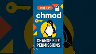 Linux Tips: chmod in Linux 🔑 Change File Permissions Easily #shorts #linux