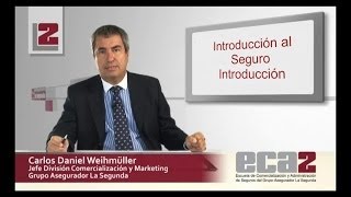 Introducción al Seguro