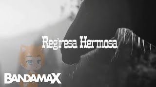 Regresa Hermosa (Gerardo Ortiz) BandamaX