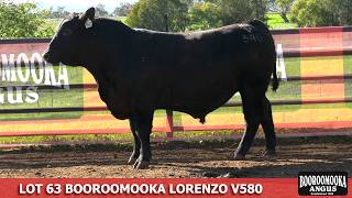 lot 63 NGM24V580