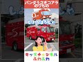 🐨パンダうさぎコアラ(のりものver)🐨 てあそびうた 童謡 キッズチャンネルふわふわ