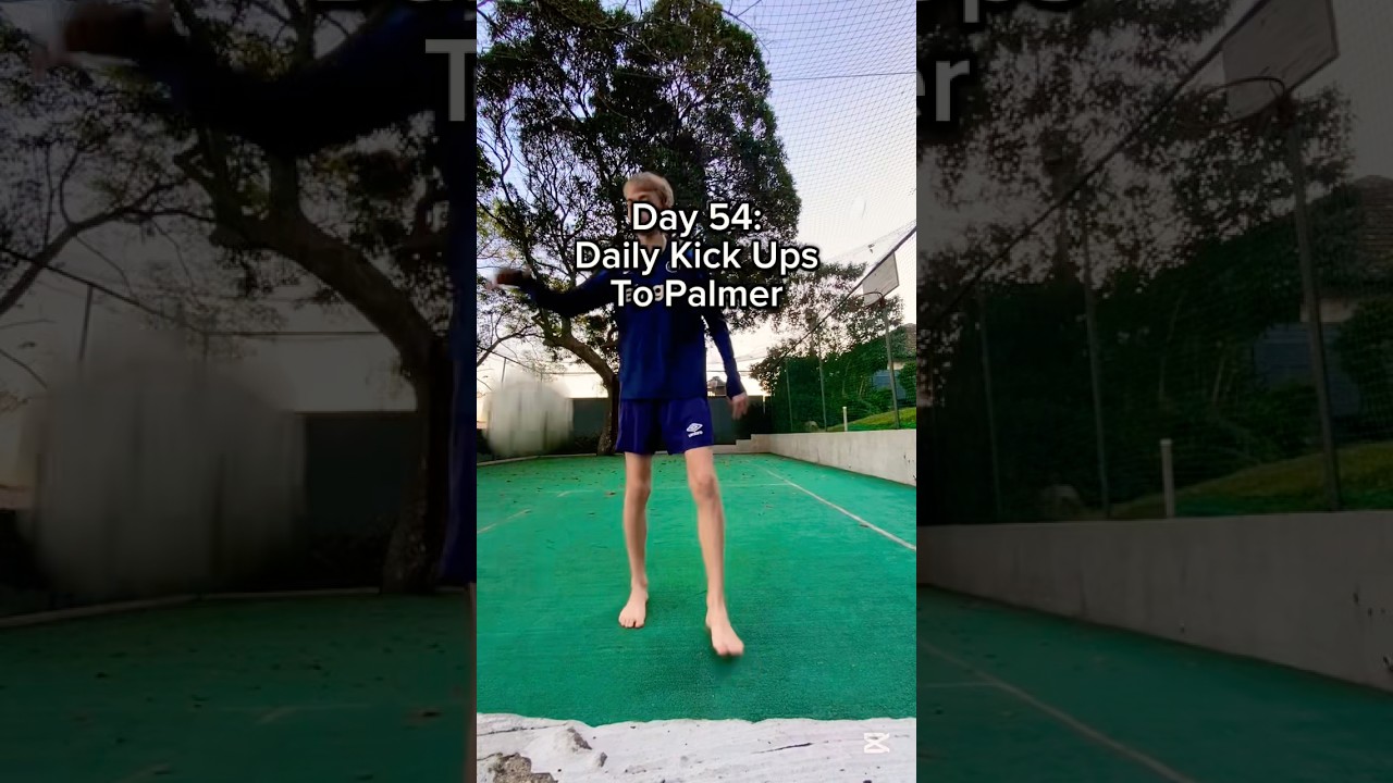 Daily Kick ups Palmer