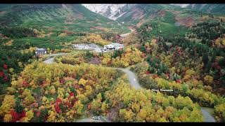 ドローンで見る北海道の紅葉　北海道十勝岳温泉郷の絶景 2020