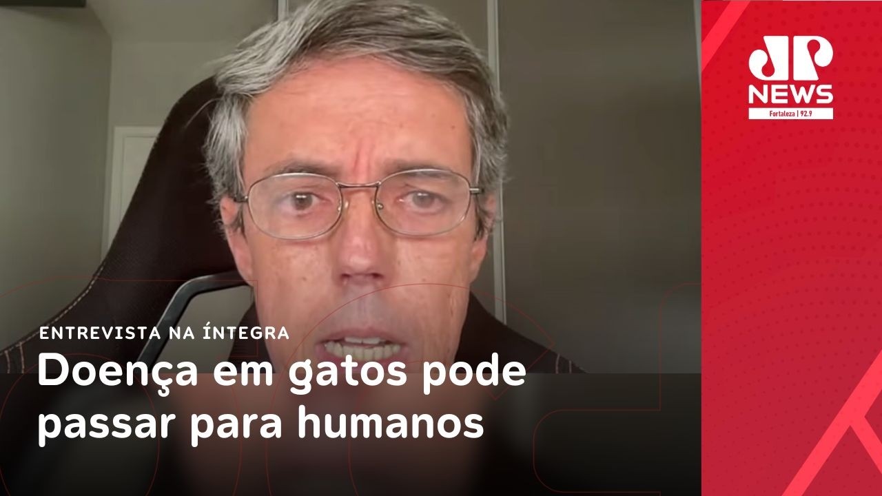 Doença em gatos pode passar para humanos: especialista alerta sobre a esporotricose | Pan News 1