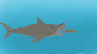 Buttered spino megalodon test