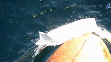 Sailbuoy collision test
