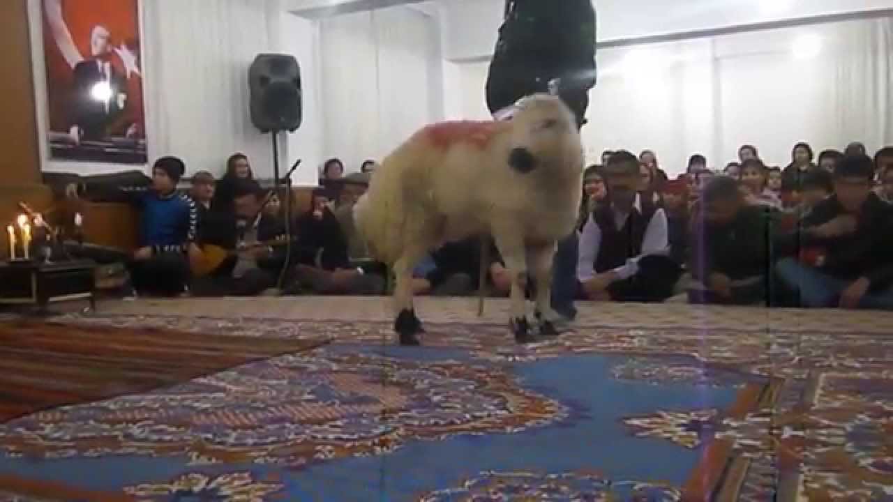 aşık hasan yavuz cem evin de kurban dualanması