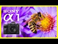 Amazing Summer Colors in 8K HDR | Shot on Sony Alpha 1 - REAL 8K Footage Demo Test