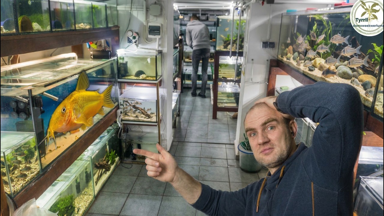 8000 litrów KIRYSÓW 🐟 Tak wygląda ogromna hodowla#akwarium #akwarystyka #kirysek #kirys