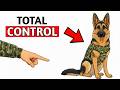 How Military Dogs Are Trained Explained in 8 Minutes