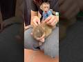 The monkey was helped by its mother to catch bugs.