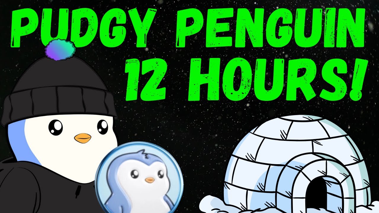 PUDGY PENGUIN (PENGU) - WHAT YOU NEED TO KNOW! TOKEN LAUNCH SOON! - YouTube