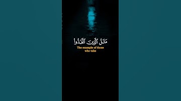 مثل الذين اتخذوا من دون الله أولياء كمثل العنكبوت[ العنكبوت: 41] ‏القارئ ياسر الدوسري#quran #islam