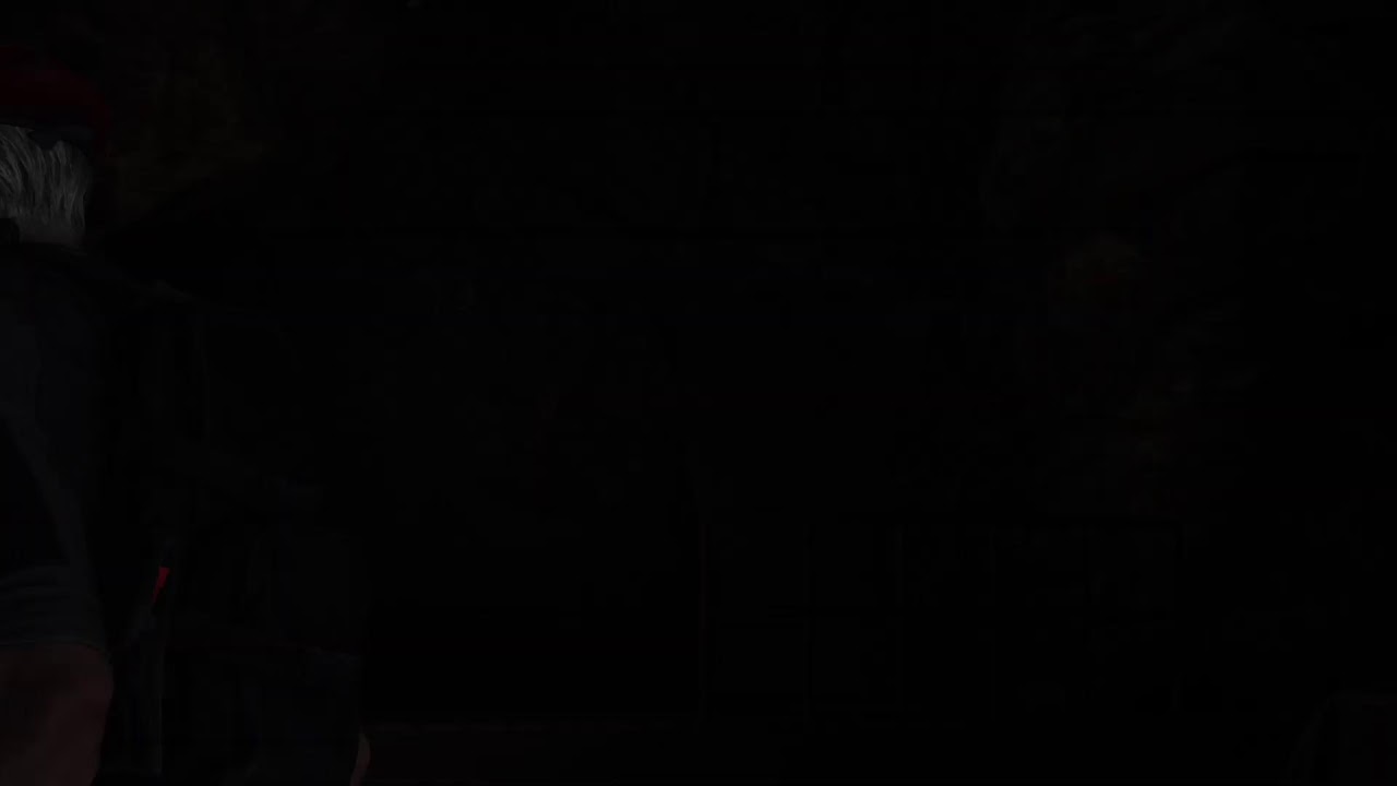 Resident Evil 4 Remake VR2