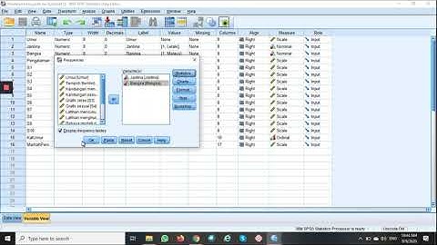 Descriptive Statistics: Frequencies Command