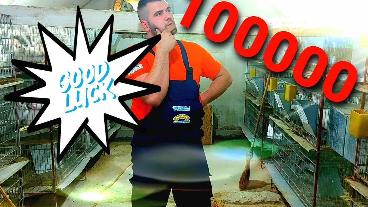 KOLIKO PARA ZARADJUJEM MESEČNO OD KUNIĆA