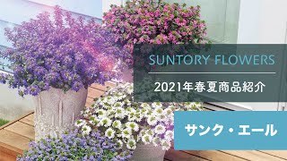 21年春夏商品紹介 サンク エール サントリーフラワーズ Youtube