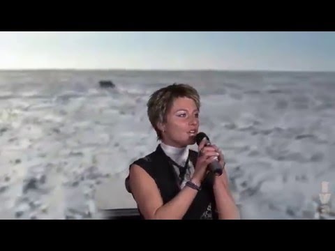 my video 'Волчица' Altituda (Погребняк А.Г.) ЖИВОЙ ЗВУК