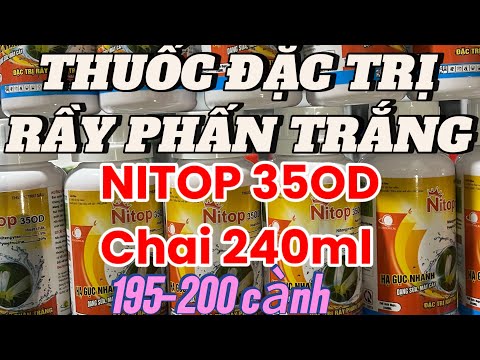 THUỐC ĐẶC TRỊ RẦY PHẤN TRẮNG-NITOP 35OD CHAI 240ml | Nông Nghiệp TV 2023 mới nhất