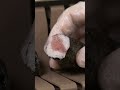 くら寿司　細巻きが出来るまで　#shorts