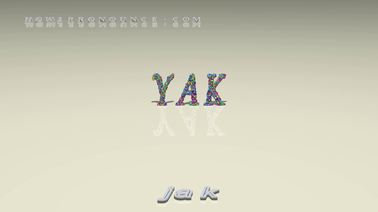 yak - pronunciation + Examples in sentences and phrases - YouTube