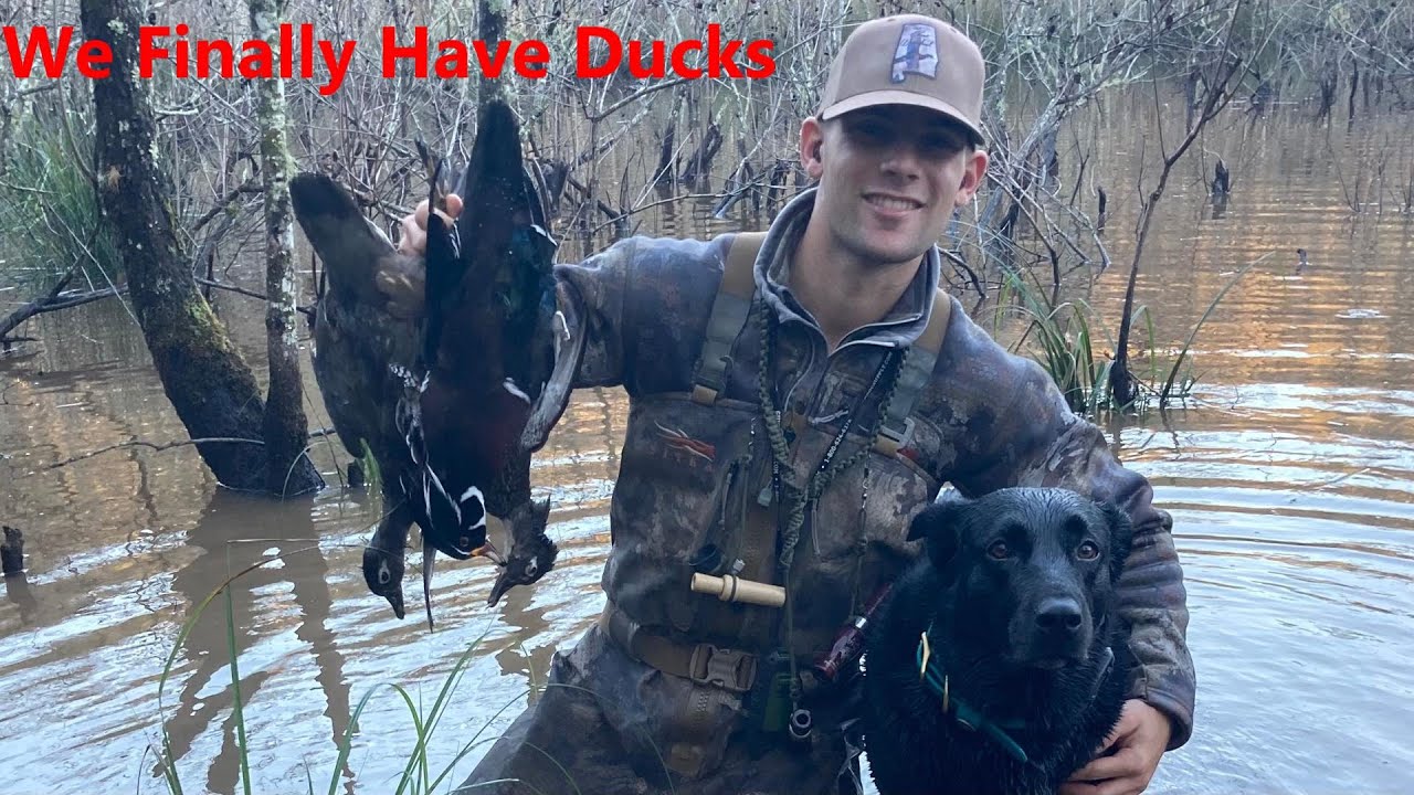 We FINALLY Have Ducks!! Alabama Duck Season 2022 YouTube