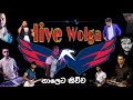 live wolga| music band| thaleta kiwwa| sri lanka