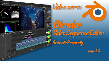 14-Blender Video Sequence Editor-Animate Property