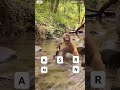 #challenge#newvideo
